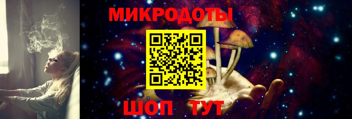 Псилоцибиновые грибы Magic Shrooms Гай