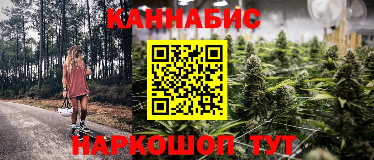 Конопля MAZAR Гай